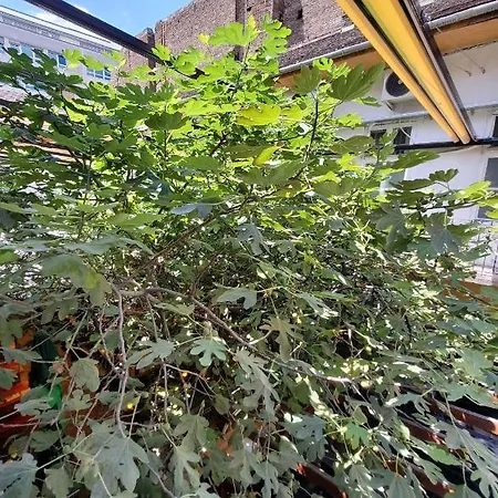 Klauzal19 Apart-hotel 3*